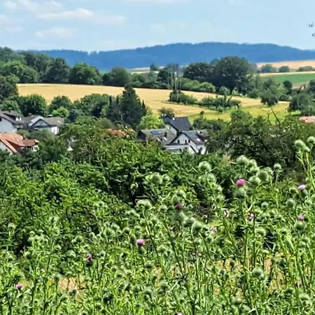 Ferienwohnung Heckenaecker Ortenberg  Exterior foto