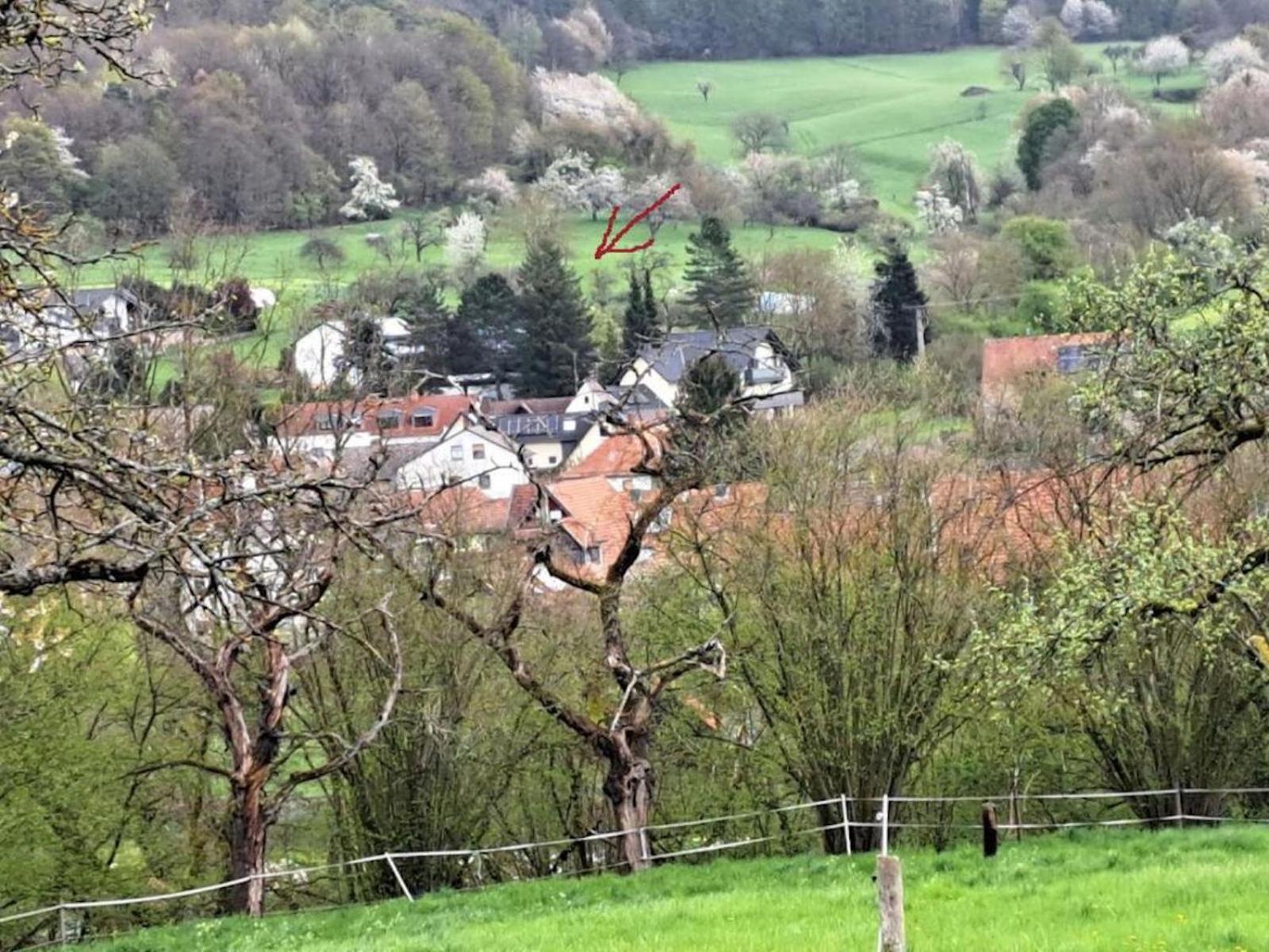 Heckenaecker * Ortenberg (Hessen)